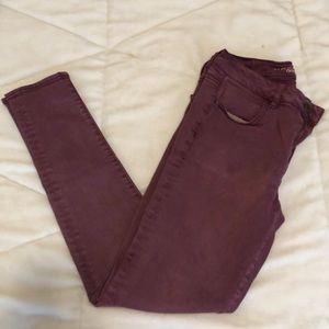 EE Hi Rise Burgundy Jeggings